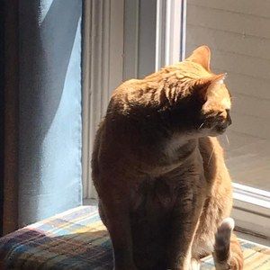 Meet your Posher, Doreen